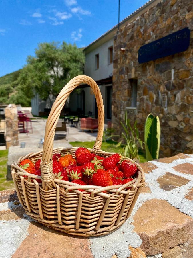 Casa Voltegira Bed & Breakfast Manso ภายนอก รูปภาพ